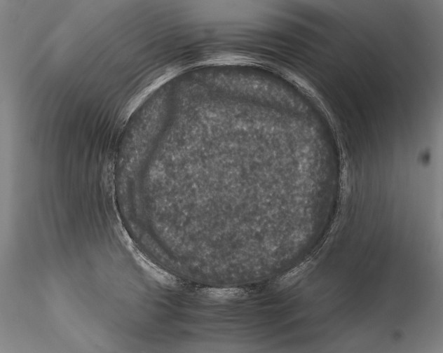 X0000115301425200911301503