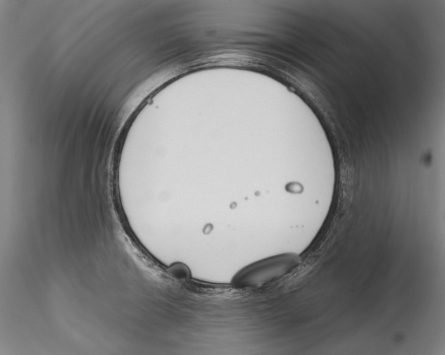 X0000115301426200911301503