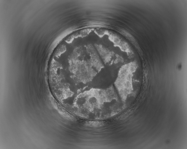 X0000115301427200911301503