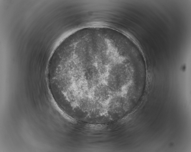 X0000115301429200911301503