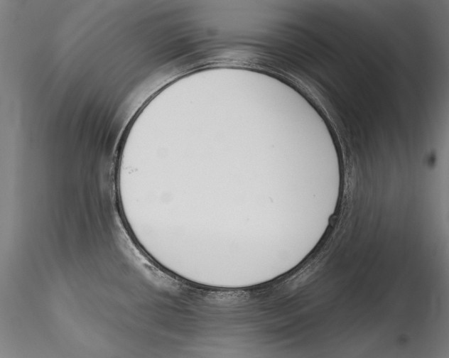 X0000115301434200911301503