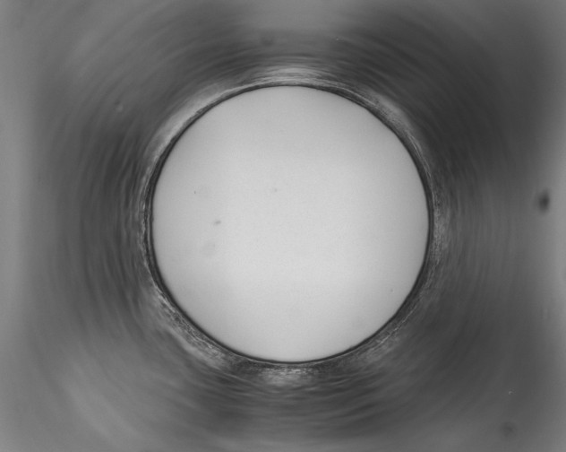 X0000115301435200911301503