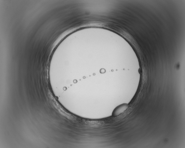 X0000115301436200911301503