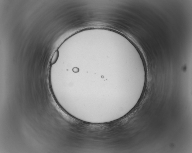 X0000115301437200911301503