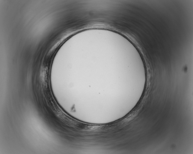 X0000115301438200911301503