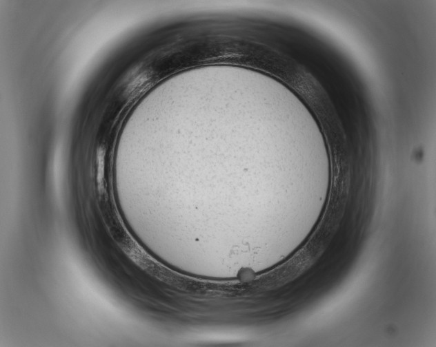 X0000115301439200911301503