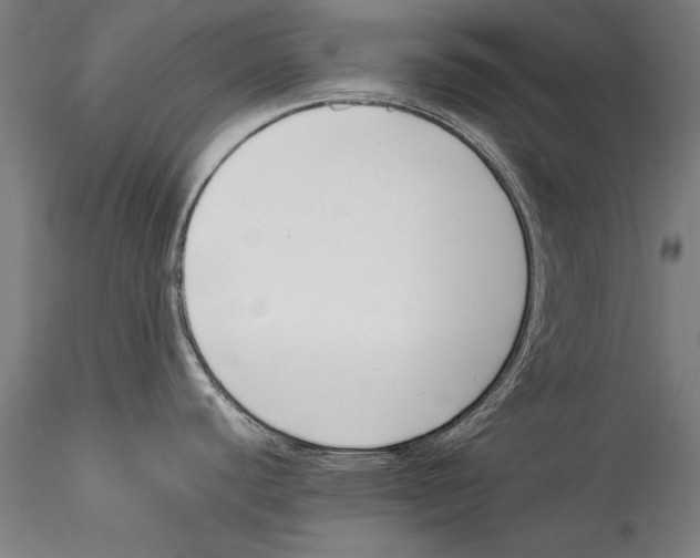 X0000115301440200911301503