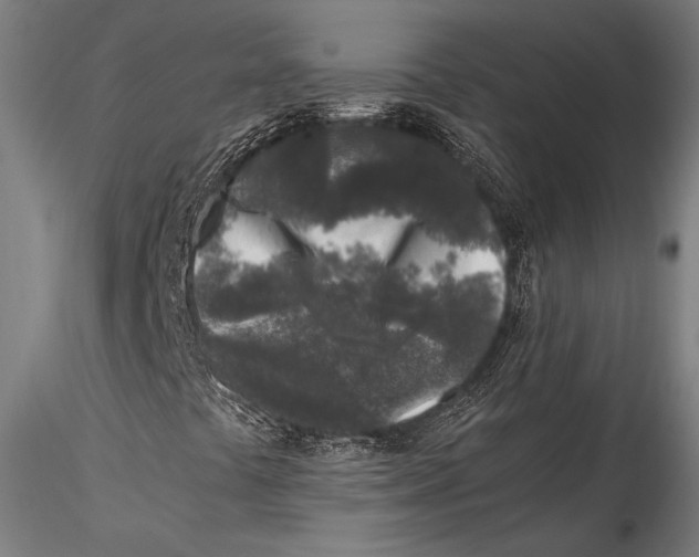 X0000115301441200911301503