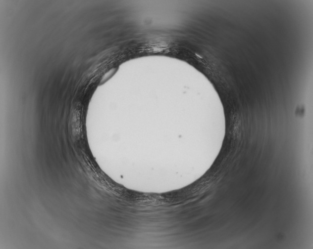 X0000115301442200911301503