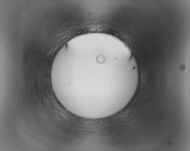 X0000115301444200911301503