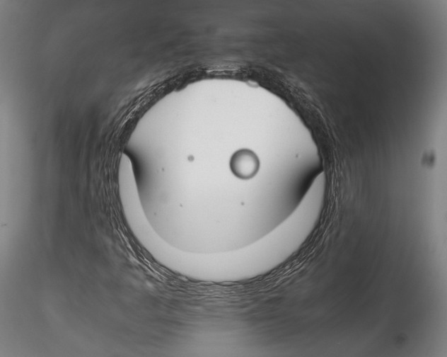 X0000115301445200911301503