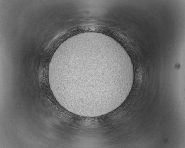 X0000115301446200911301503