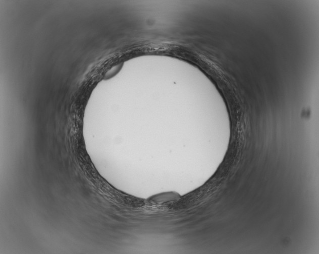 X0000115301447200911301503