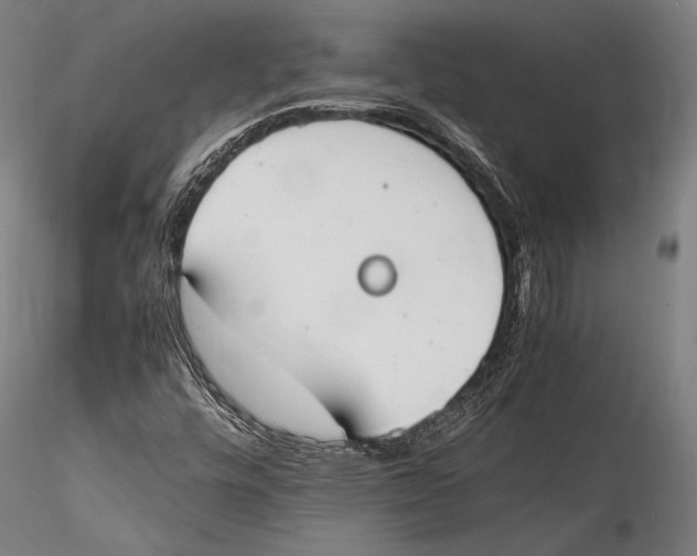 X0000115301448200911301503