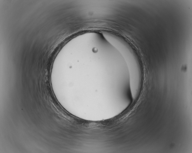 X0000115301449200911301503