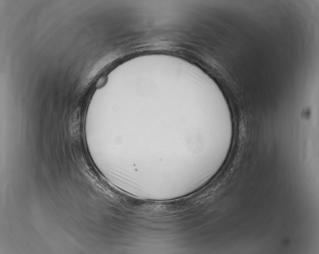 X0000115301450200911301503