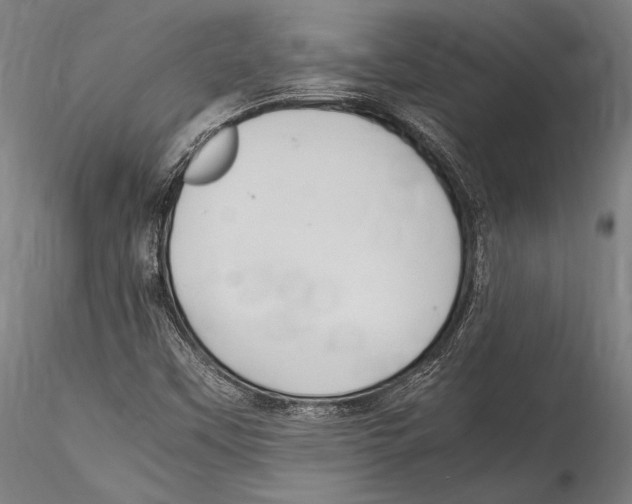 X0000115301451200911301503