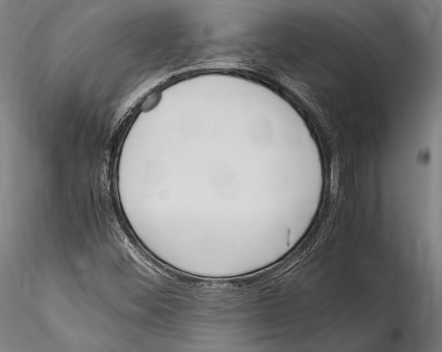 X0000115301452200911301503