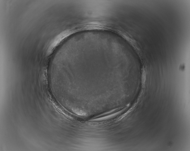 X0000115301453200911301503