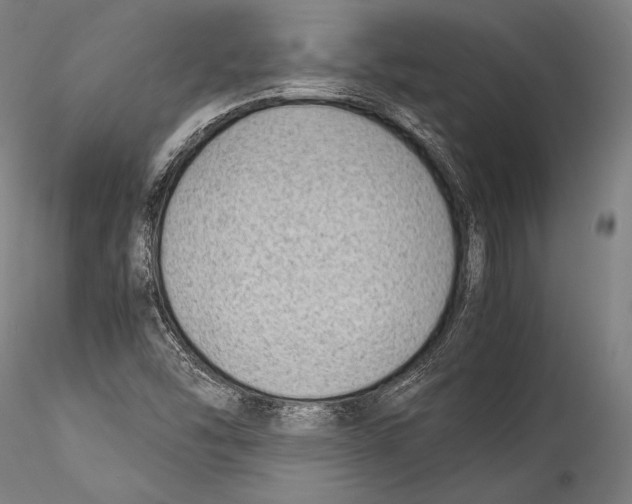 X0000115301454200911301503