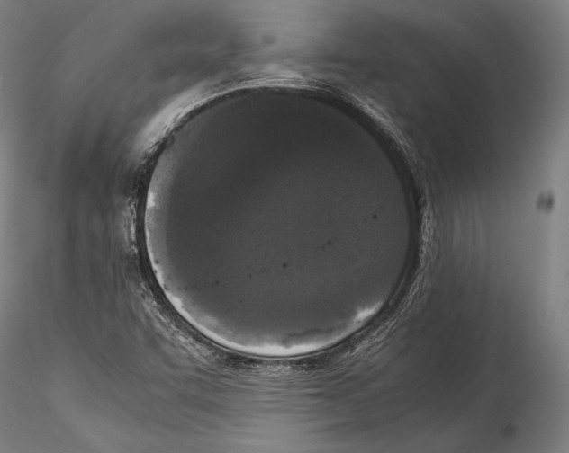 X0000115301455200911301503