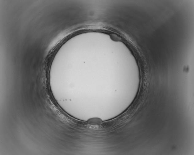 X0000115301456200911301502