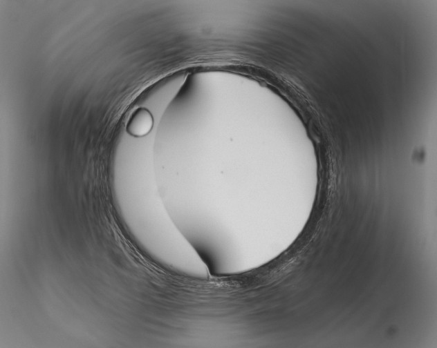 X0000115301457200911301502