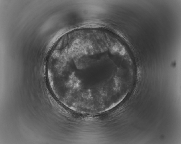 X0000115301459200911301502