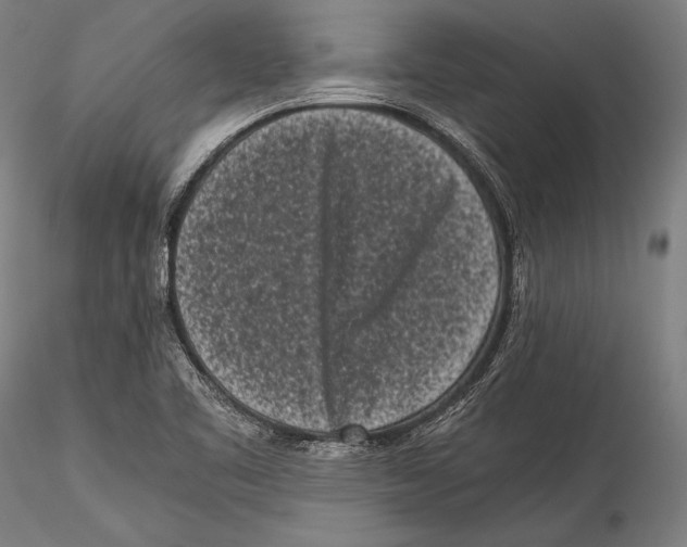 X0000115301461200911301502