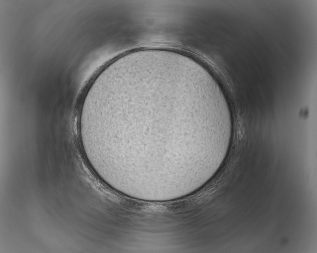 X0000115301462200911301502