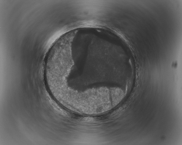 X0000115301463200911301502