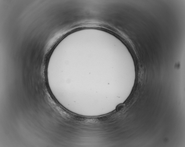 X0000115301464200911301502