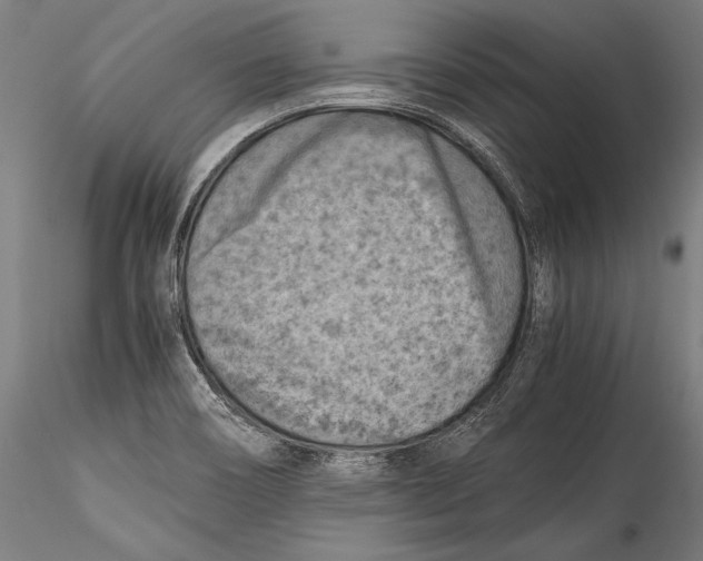 X0000115301466200911301502