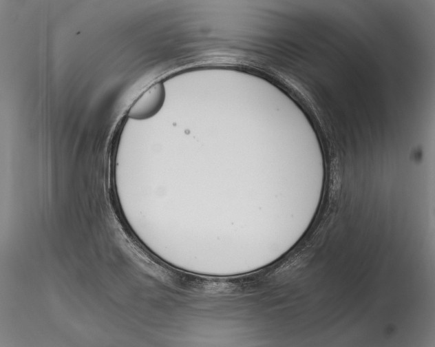 X0000115301467200911301502