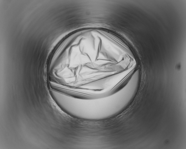 X0000115301468200911301502