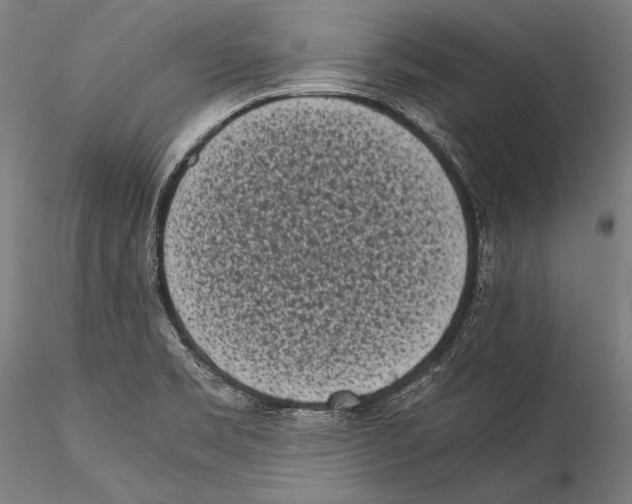 X0000115301469200911301502