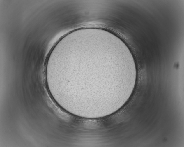 X0000115301470200911301502