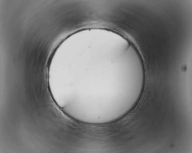 X0000115301472200911301502