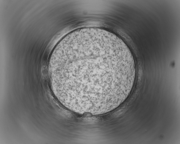 X0000115301473200911301502