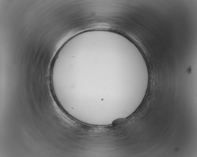 X0000115301475200911301502