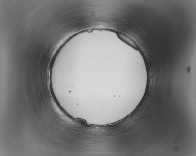 X0000115301476200911301502