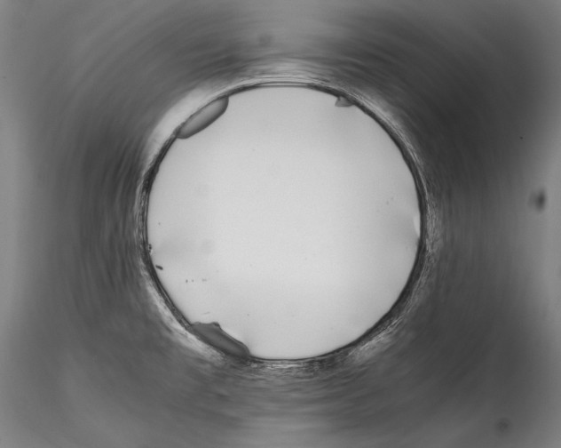 X0000115301477200911301502