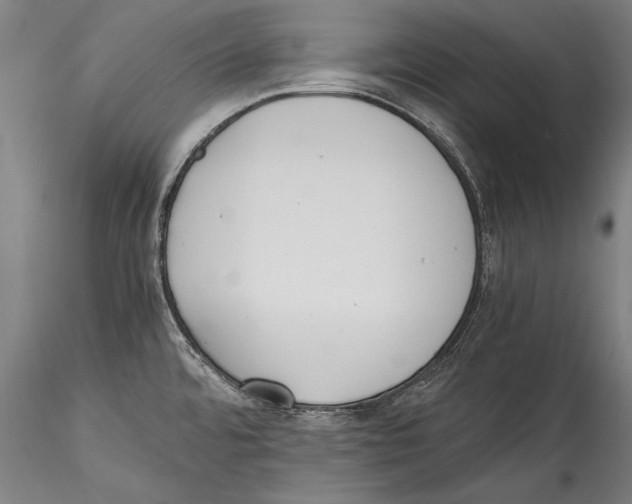 X0000115301480200911301502