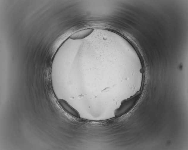 X0000115301481200911301502