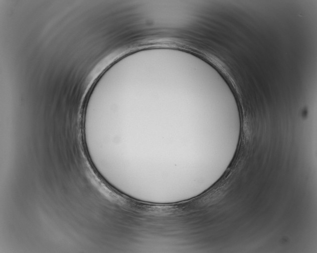 X0000115301482200911301502