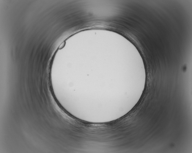 X0000115301483200911301502