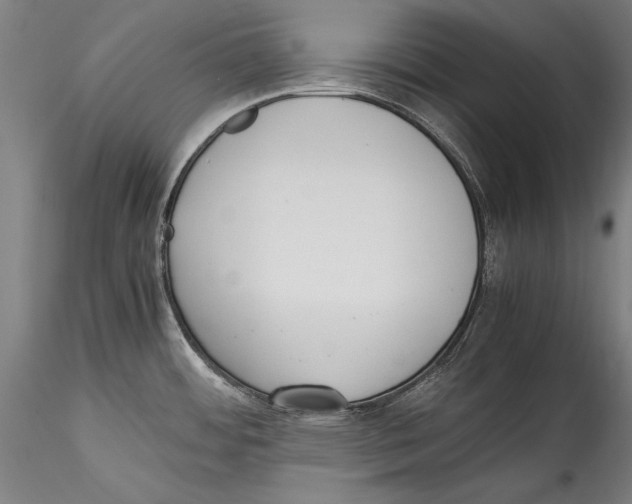 X0000115301484200911301502