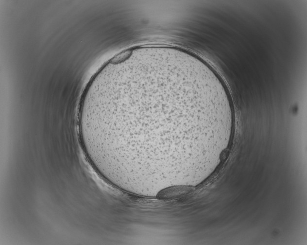 X0000115301485200911301502