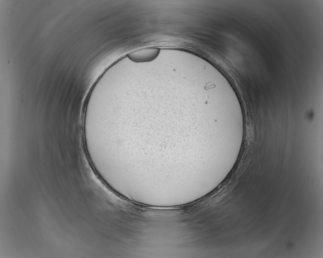 X0000115301487200911301502