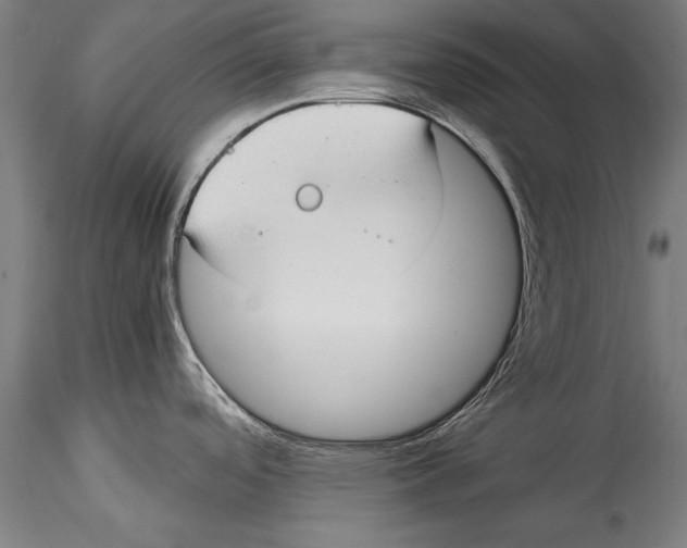 X0000115301488200911301502